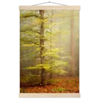 cc2a649e-f0d8-4b35-abcc-25154be2cd98