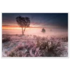 cd5b6a0d-8702-4774-9c09-f7ae278a53ad