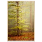 cd7a4070-ed19-4c16-8f64-542aec9b8505