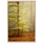 d036bc74-9fb0-4800-8e71-506ea2350680