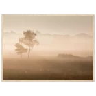 d1471794-8881-4b4c-9a22-2f3cd1df8d70