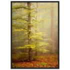 d27f0df8-c3c2-4039-8f07-b10b9b109f2f