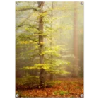 d2d5370b-392d-45b0-8225-710780c8e51f
