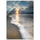 d62773a9-725f-426e-b0dd-86fe09539d4b