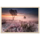 da7d84ab-7608-4886-b695-427d1148ef0f