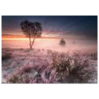 dc568540-cf97-4b0c-9113-8b37fd56b87d