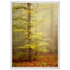 e60f5847-e2b2-4411-be7d-85178008aec6