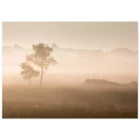 e6b6e22e-7f0e-443a-bd7d-1df1dc5497b6