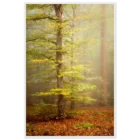 e7080031-5db8-47f8-83e2-bf81fb42638a
