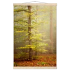 ec926726-c776-49ae-a8e7-f71c70d9fa85