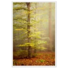 f0fc8c6b-e66a-470e-91f0-dbed426d901a