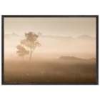 f5608116-6e6b-42a0-a4a3-79aaf0bca356