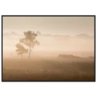 f722b895-b43b-4465-b468-816a95264ad6