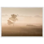 fe46c414-2141-4ff0-8b43-7e220b3e8101