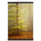 ffa9e23c-67f6-4ae6-bce9-834d59ca092f